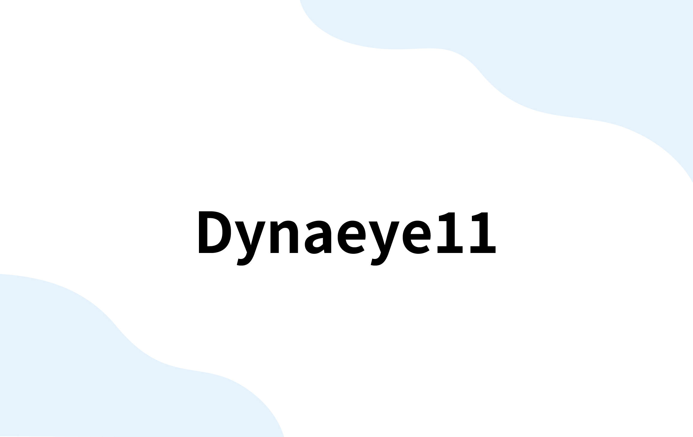Dynaeye11（RICOH）